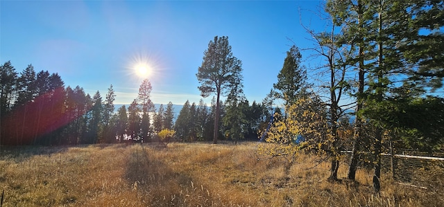 view of local wilderness