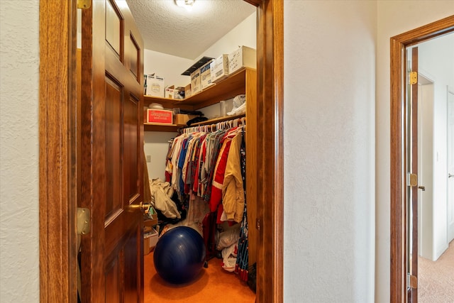 walk in closet featuring carpet floors