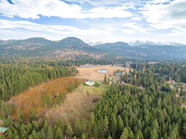 drone / aerial view with a mountain view