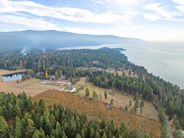 bird's eye view with a water and mountain view