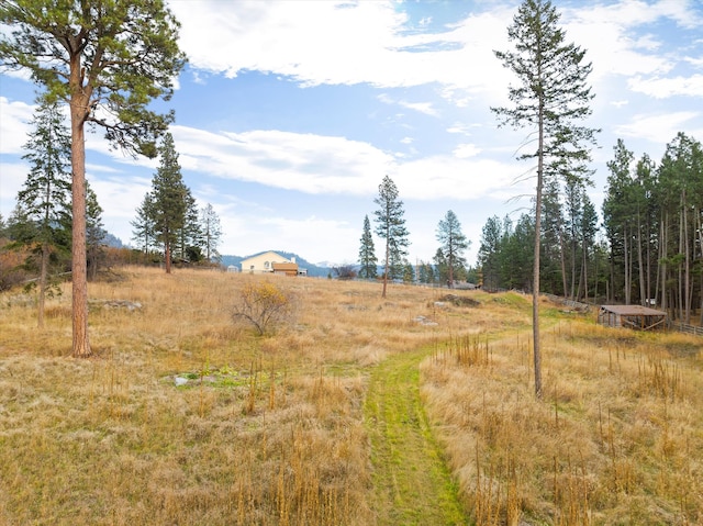 view of local wilderness with a rural view