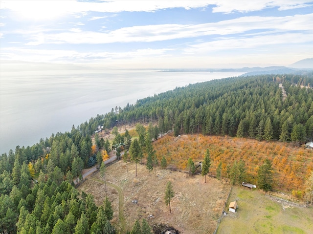 birds eye view of property featuring a water and mountain view