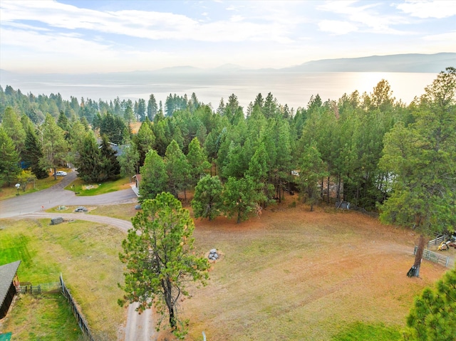 drone / aerial view featuring a mountain view