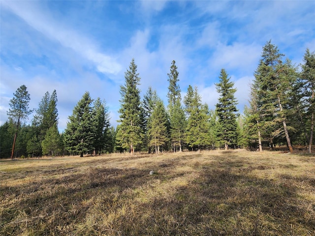 580 Upper Lynch Creek Rd, Plains, MT 59859 - view of woods