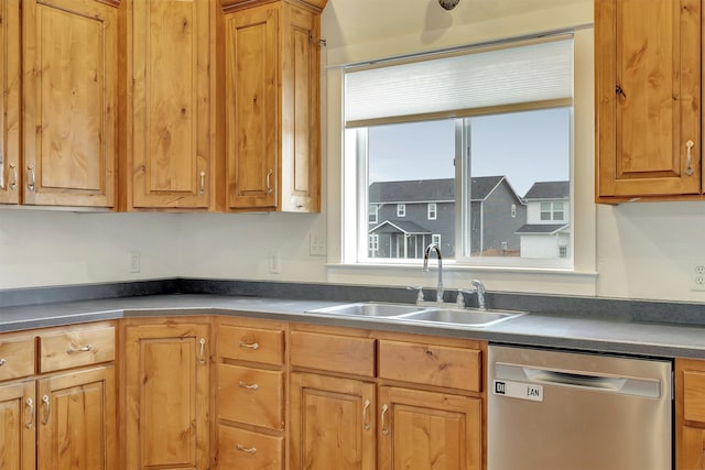 kitchen with dishwasher and sink