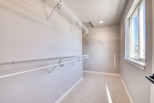 walk in closet with light colored carpet