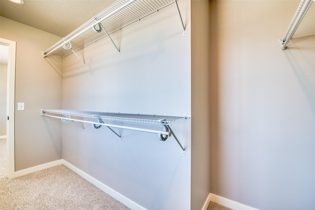 walk in closet with light carpet