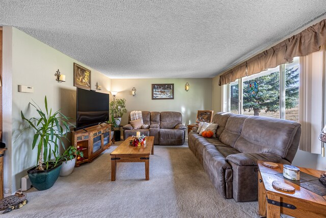 carpeted living room with a textured ceiling