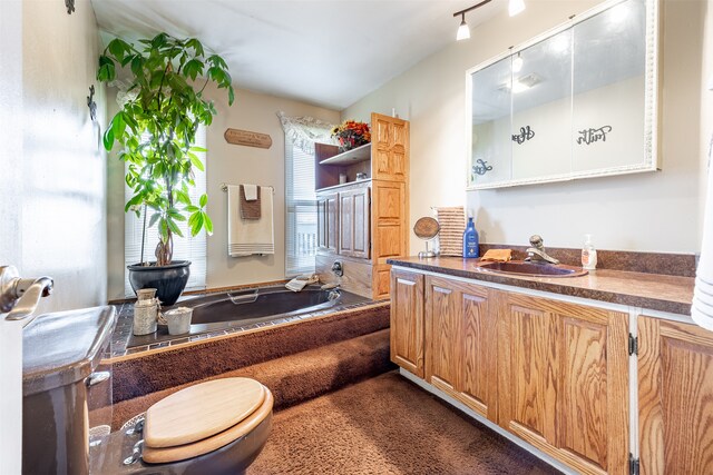 bathroom with a tub to relax in, vanity, and toilet