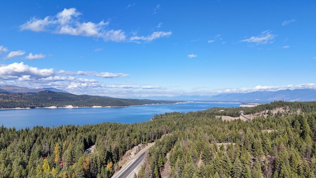 property view of water featuring a mountain view