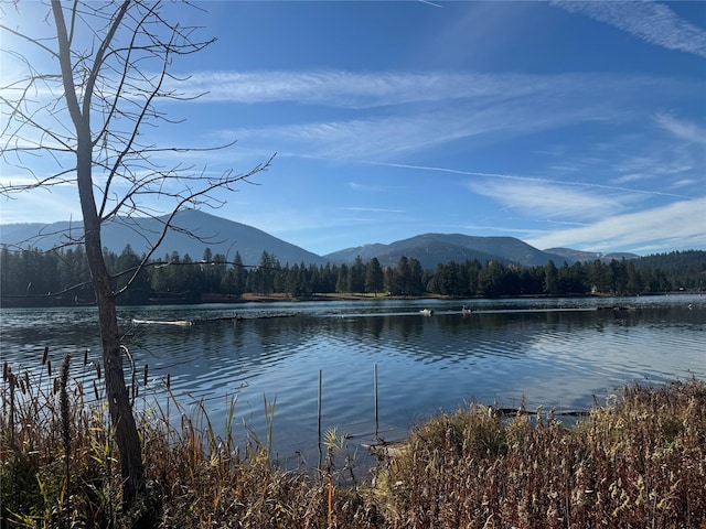 water view with a mountain view