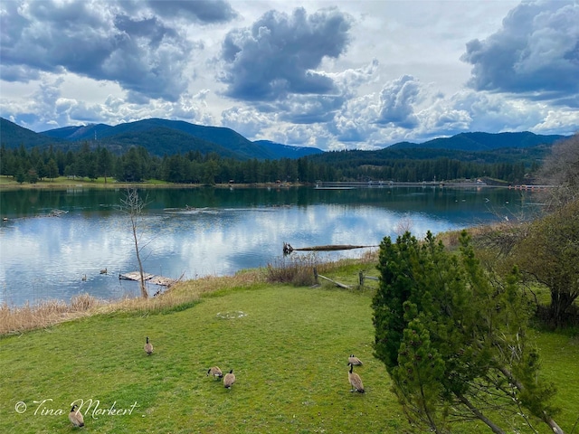 property view of water with a mountain view