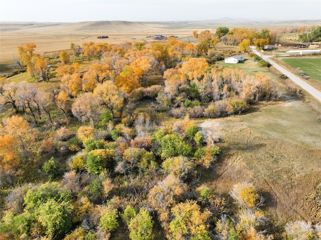 aerial view with a rural view