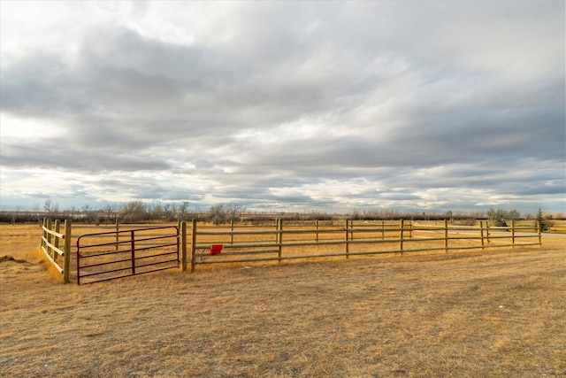 view of yard featuring a rural view