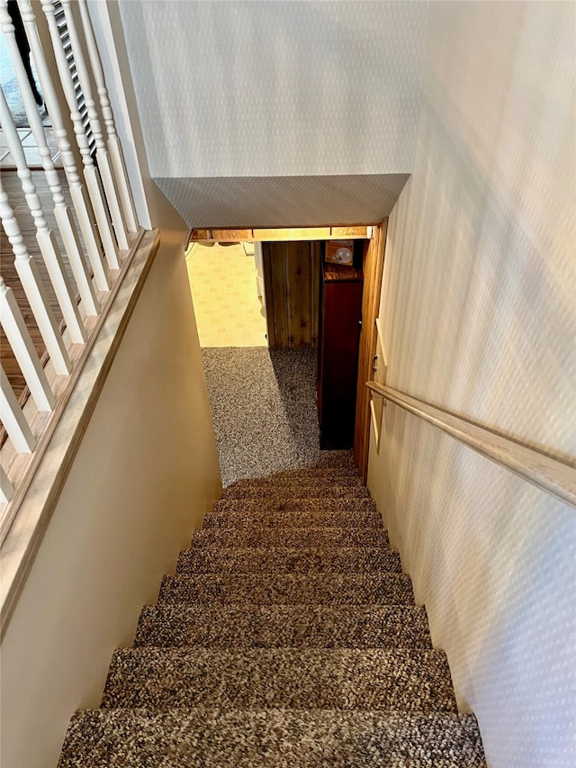 stairway with carpet floors