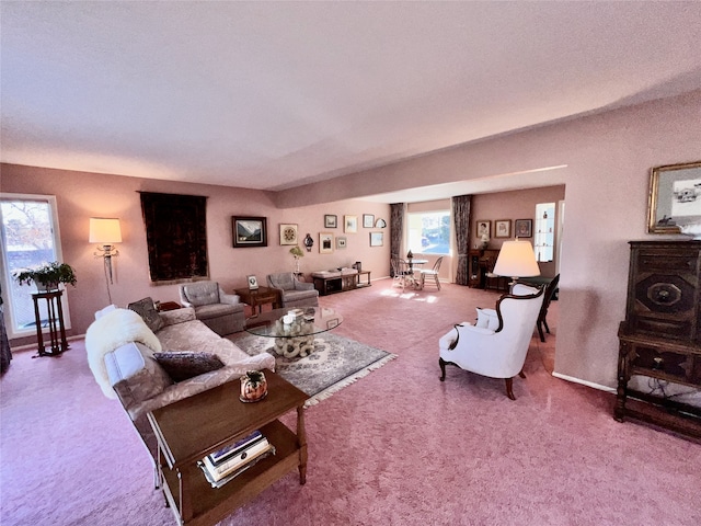 living room featuring carpet floors and a wealth of natural light