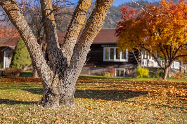 view of side of property featuring a lawn