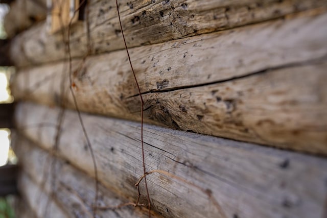 4 Courtier Rd, Thompson Falls, MT 59873 - detailed view