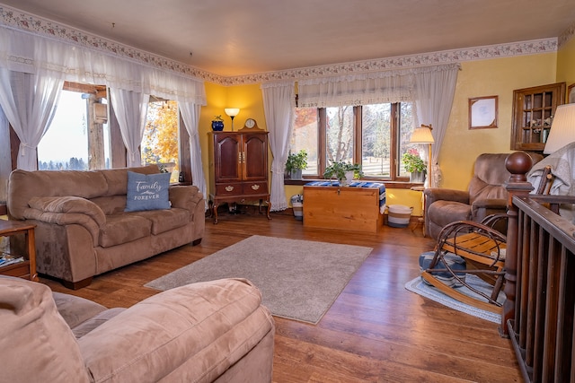 living room featuring wood-type flooring