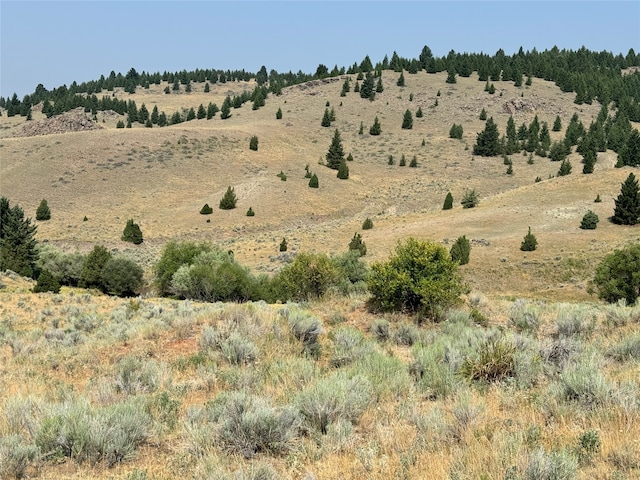 The St. Paul, Butte MT, 59701 land for sale