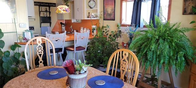 view of dining area