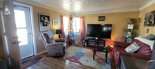 living room featuring hardwood / wood-style flooring, plenty of natural light, and a baseboard heating unit