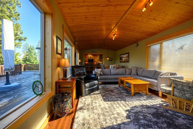 living room featuring wood-type flooring, lofted ceiling, and rail lighting