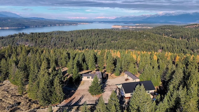 bird's eye view featuring a water and mountain view