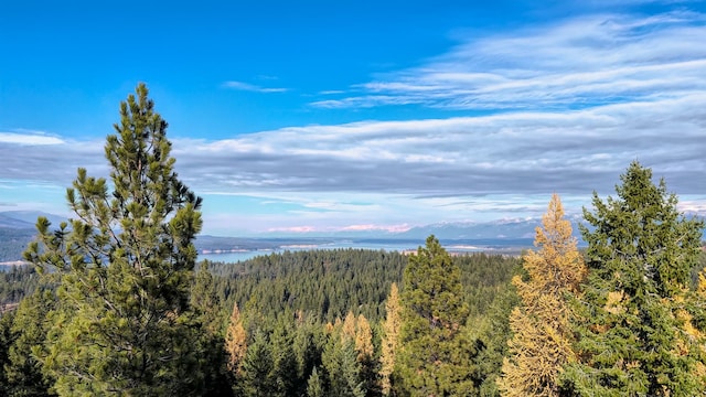 property view of mountains with a water view