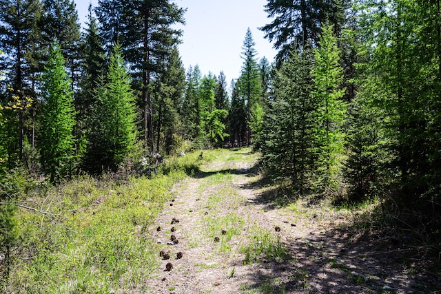 NHN Open Sky Way, Kila, MT 59920