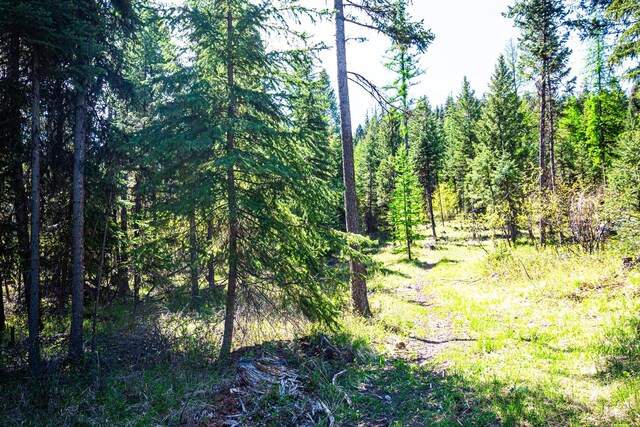 NHN Open Sky Way, Kila, MT 59920