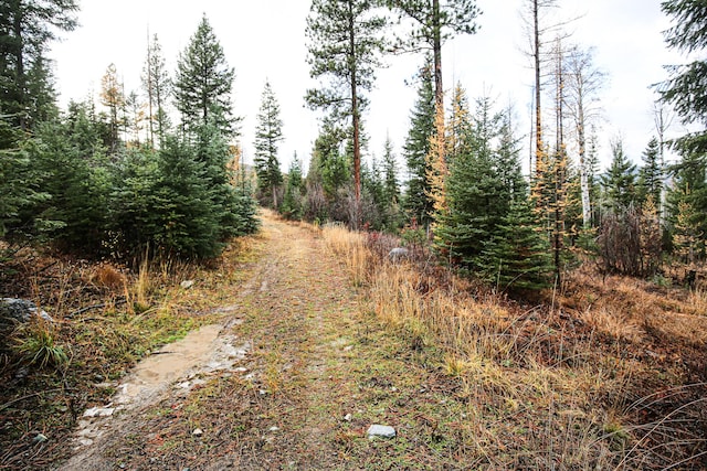 Listing photo 2 for NHN Open Sky Way, Kila MT 59920