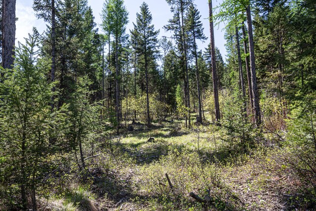 NHN Open Sky Way, Kila, MT 59920