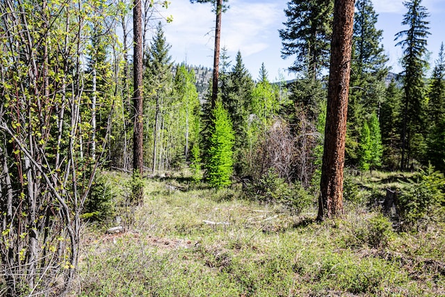 NHN Open Sky Way, Kila, MT 59920