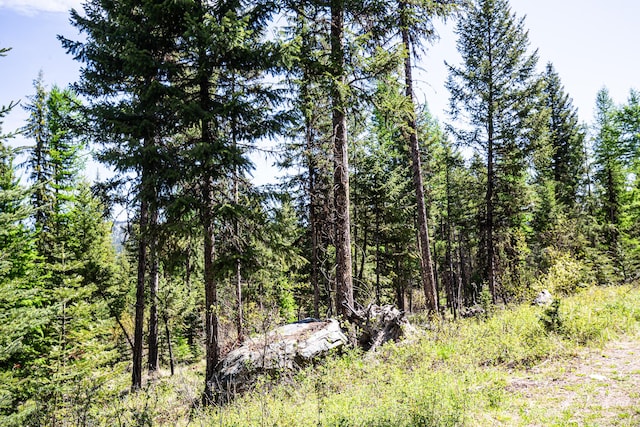 NHN Open Sky Way, Kila, MT 59920