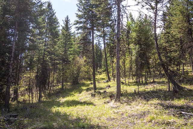 NHN Open Sky Way, Kila, MT 59920