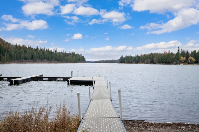 dock area with a water view