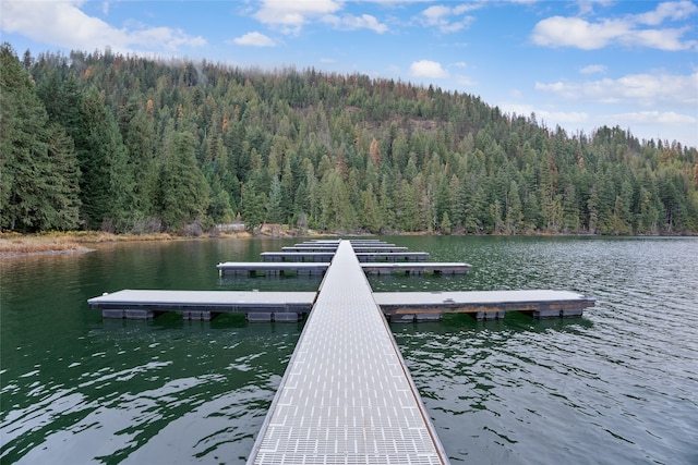 view of dock with a water view