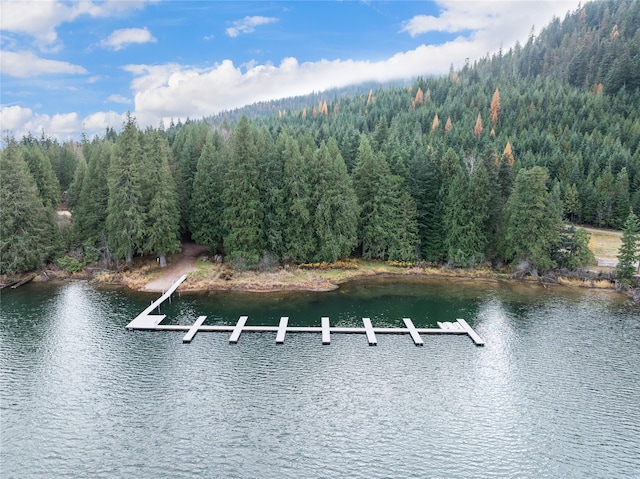 property view of water featuring a dock