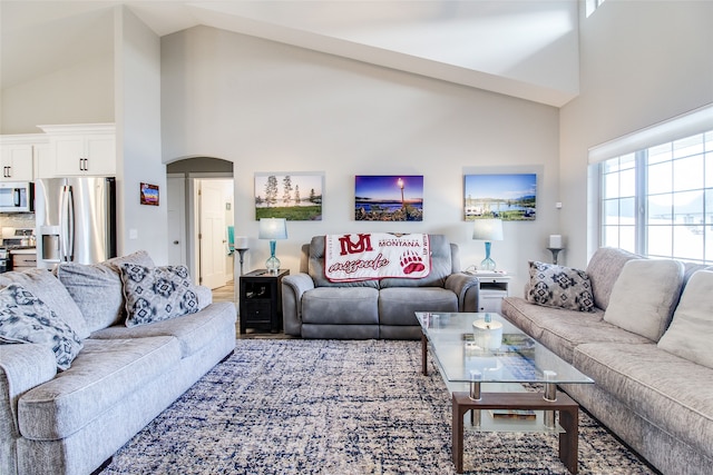 living room featuring high vaulted ceiling