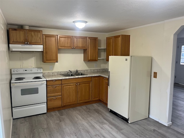 kitchen featuring light wood-type flooring, white appliances, crown molding, and sink