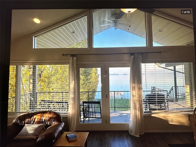 entryway with wood-type flooring, lofted ceiling, and a healthy amount of sunlight