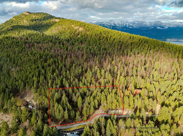 139 Little Mountain Ln, Whitefish MT, 59937 land for sale