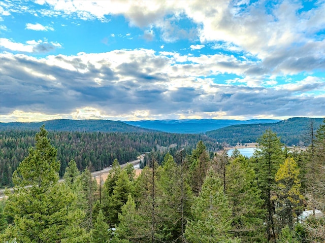 139 Little Mountain Ln, Whitefish, MT 59937