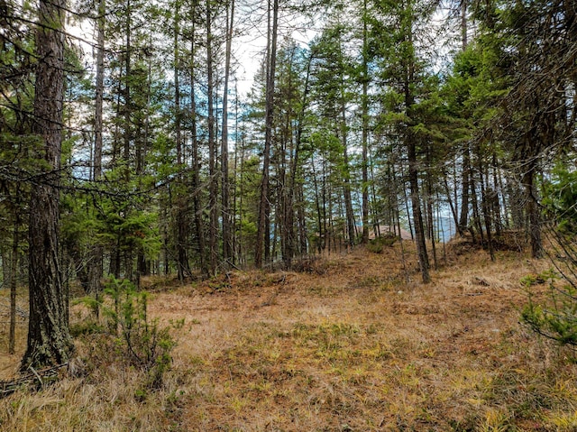 139 Little Mountain Ln, Whitefish, MT 59937