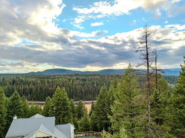 139 Little Mountain Ln, Whitefish, MT 59937