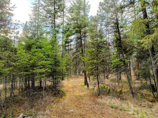 139 Little Mountain Ln, Whitefish, MT 59937