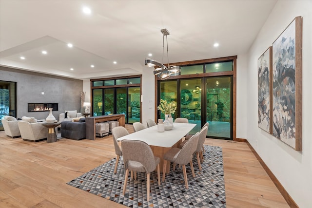 dining room with light hardwood / wood-style floors