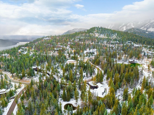 92 Woodlandstar Cir, Whitefish, MT 59937 - bird's eye view with a mountain view and a view of trees