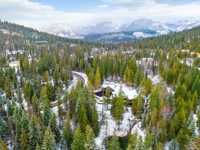 birds eye view of property featuring a mountain view